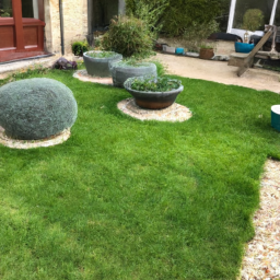 Techniques de taille pour maintenir un jardin esthétique et en bonne santé Maubeuge